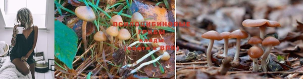 марки lsd Липки