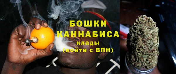 мдпв Лиски